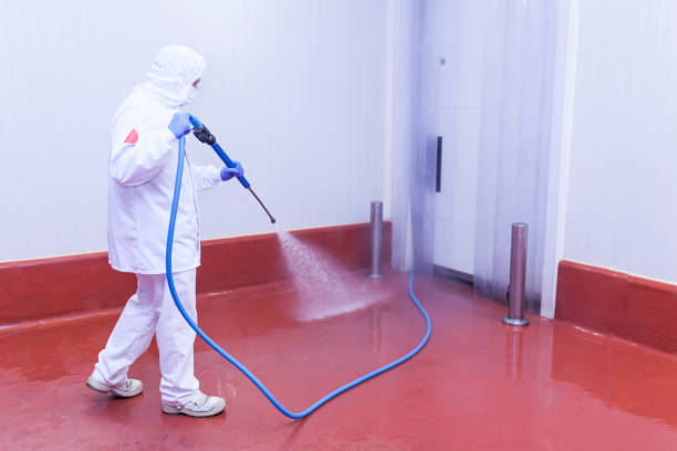 Professional Pressure Washing in North Lakeport, CA